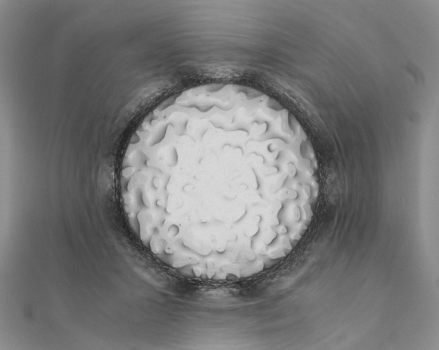 X0000111880407200908131638