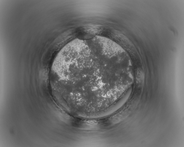 X0000111880409200908131638