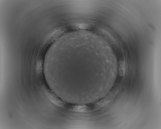 X0000111880410200908131638