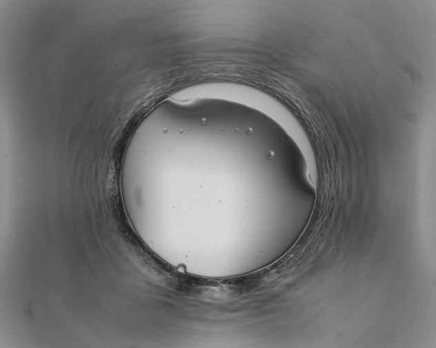 X0000111880411200908131638