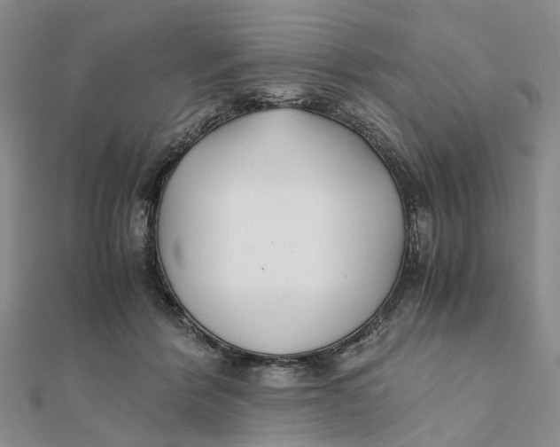 X0000111880412200908131638
