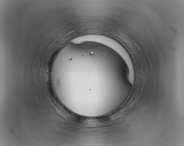 X0000111880413200908131638