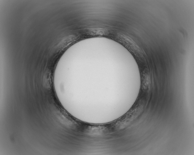 X0000111880414200908131638