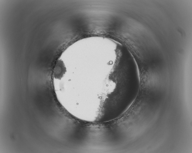 X0000111880415200908131638