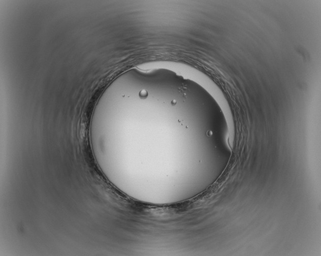 X0000111880417200908131637