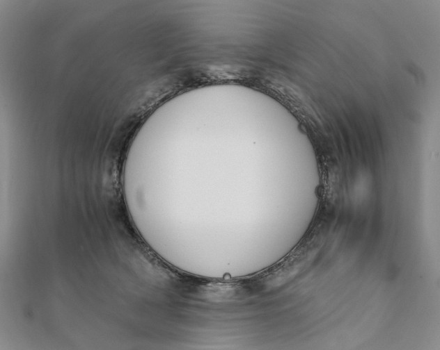 X0000111880418200908131637