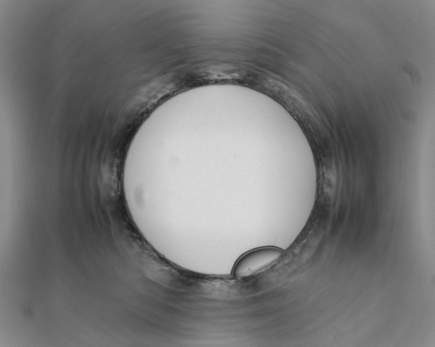 X0000111880422200908131637