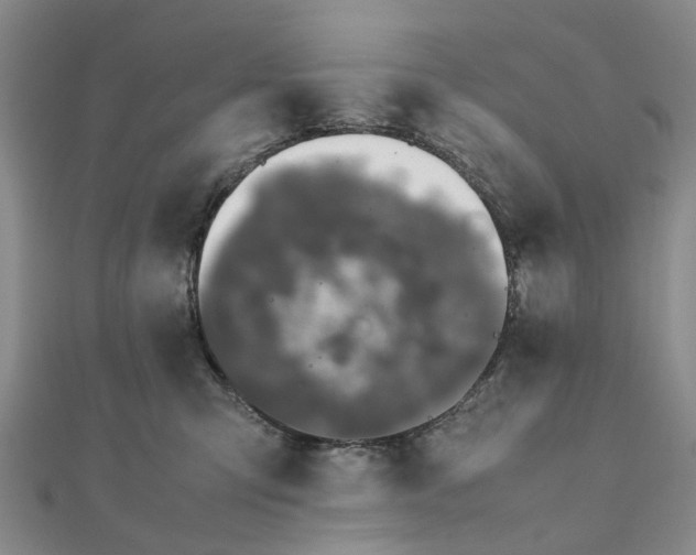 X0000111880423200908131637