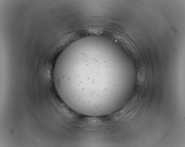 X0000111880424200908131637