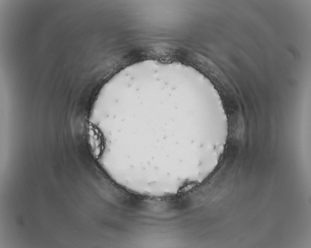 X0000111880425200908131637
