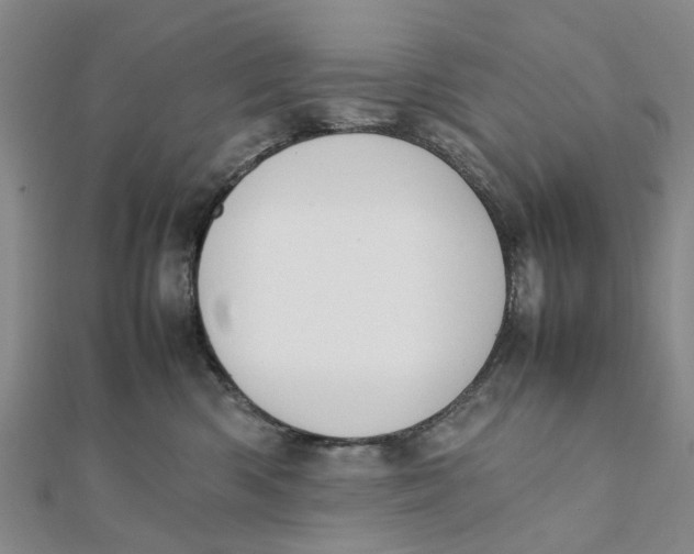 X0000111880426200908131637