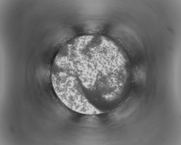 X0000111880427200908131637