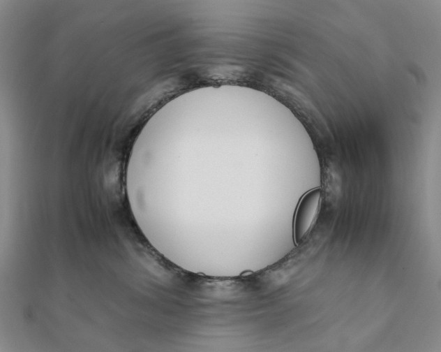 X0000111880428200908131637