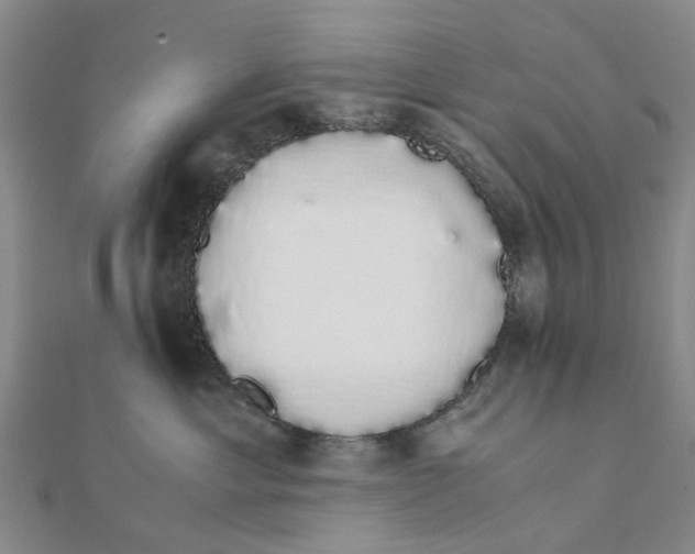 X0000111880429200908131637