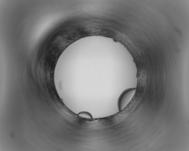 X0000111880430200908131637