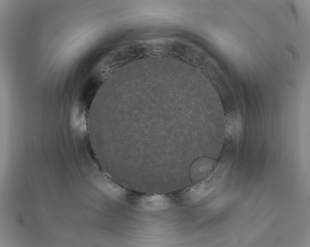 X0000111880431200908131637