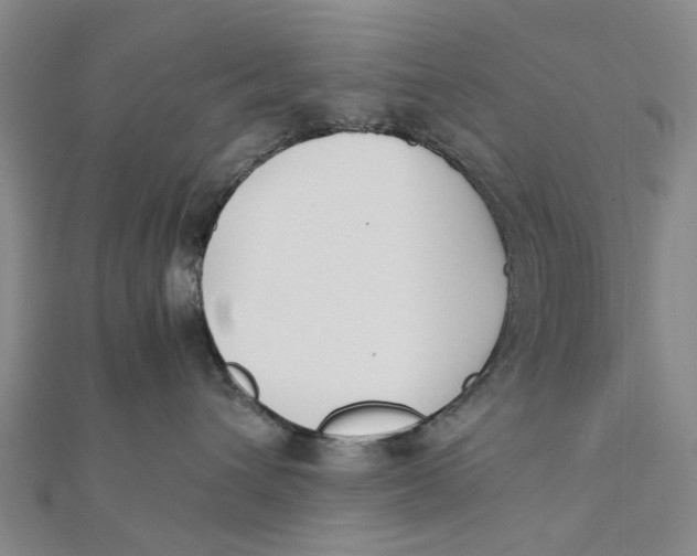 X0000111880432200908131637