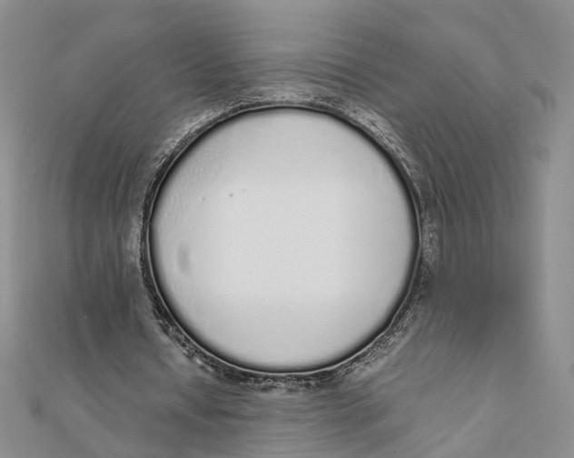 X0000111880434200908131637