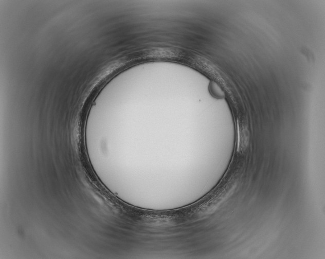 X0000111880435200908131637