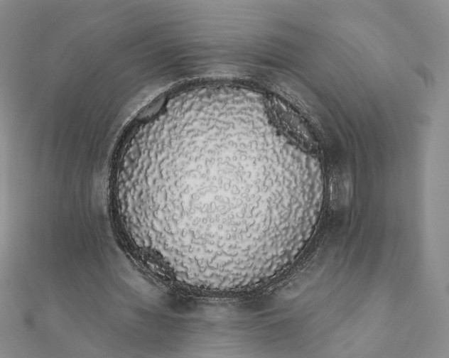 X0000111880436200908131637