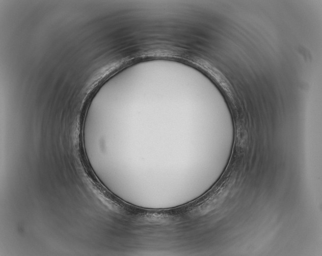 X0000111880437200908131637