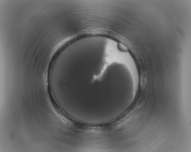 X0000111880438200908131637