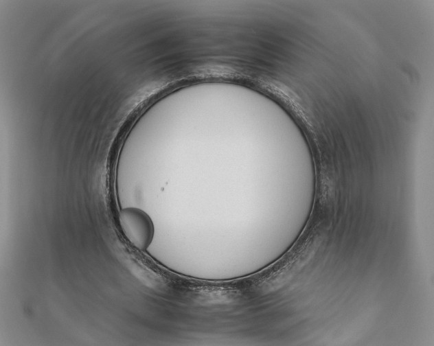 X0000111880439200908131637