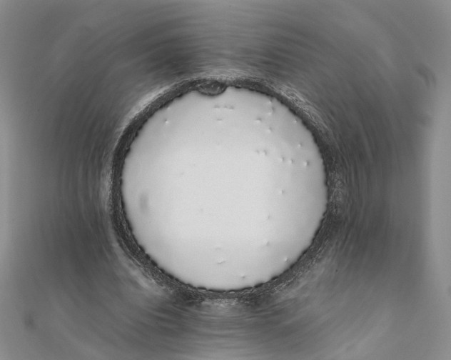 X0000111880440200908131637