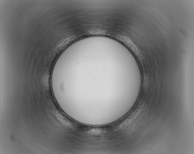 X0000111880441200908131637