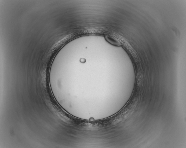 X0000111880442200908131637