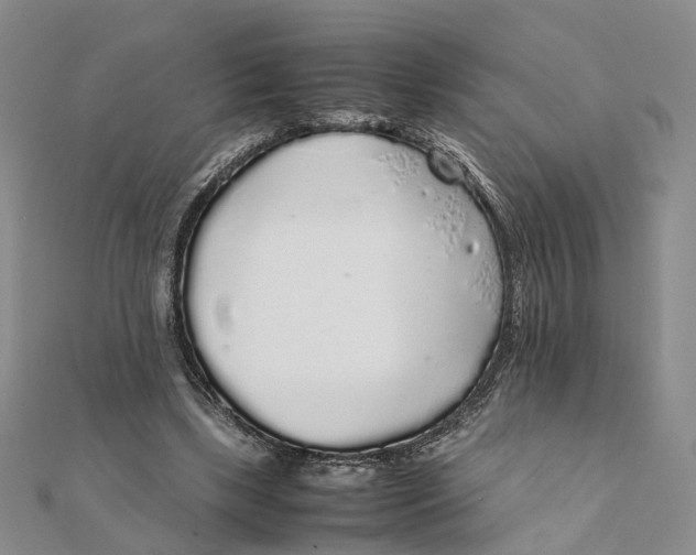 X0000111880443200908131637