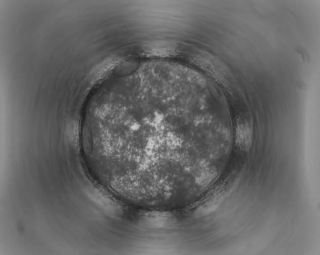 X0000111880444200908131637