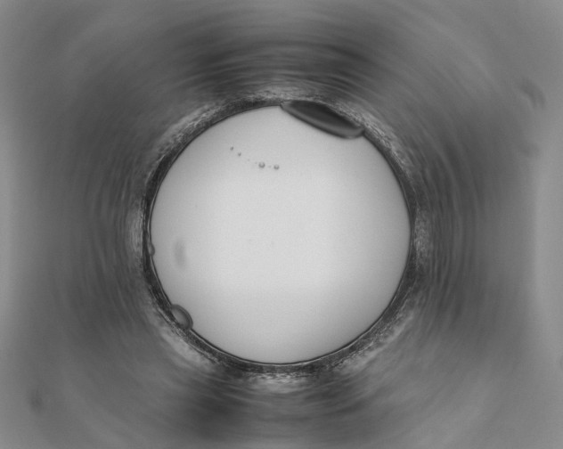 X0000111880445200908131637