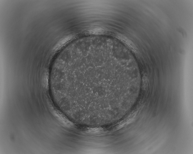 X0000111880446200908131637