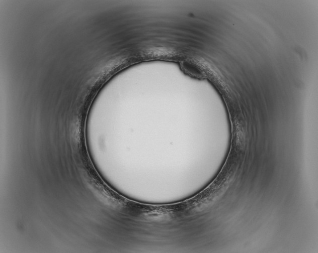 X0000111880447200908131637