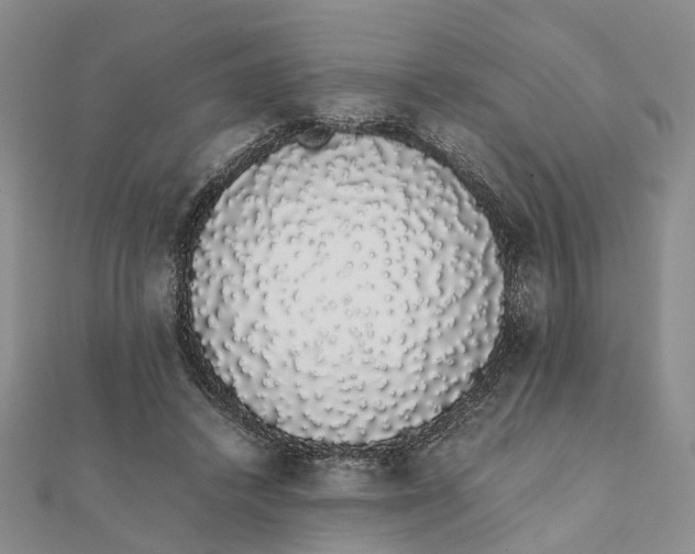 X0000111880448200908131637