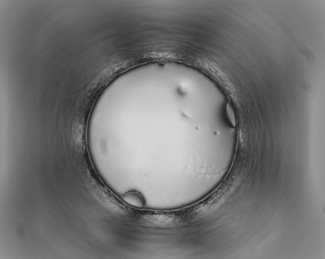 X0000111880449200908131637