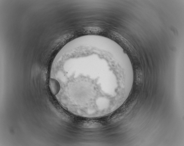 X0000111880451200908131637