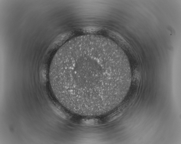 X0000111880452200908131637