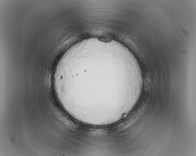 X0000111880454200908131637
