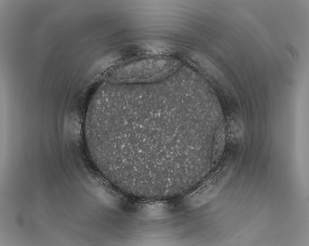 X0000111880456200908131637