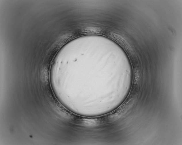 X0000111880457200908131637