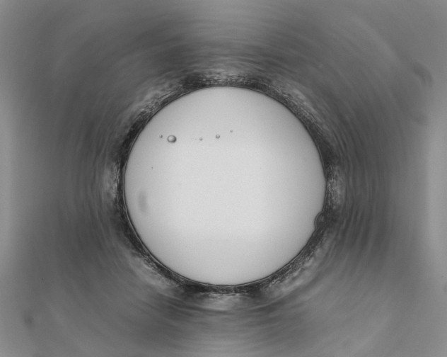 X0000111880458200908131637