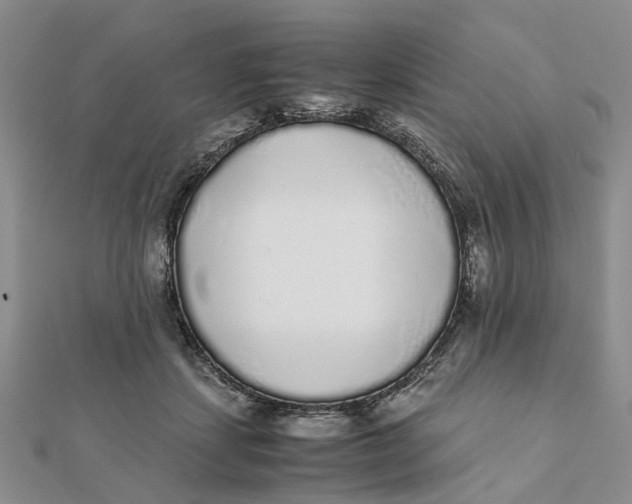 X0000111880459200908131637