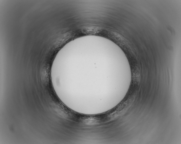 X0000111880460200908131637