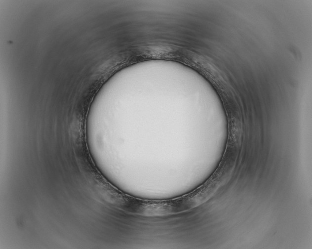 X0000111880461200908131637