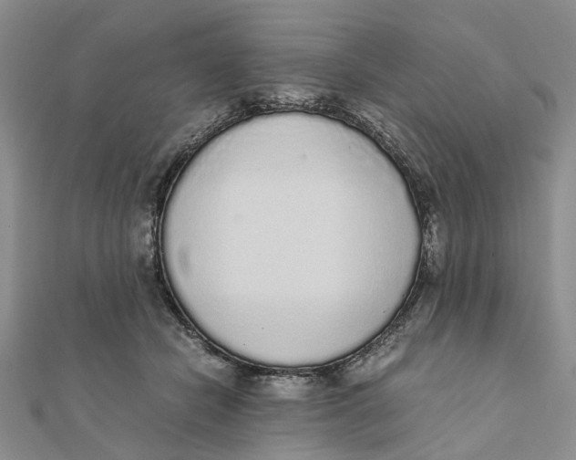 X0000111880462200908131637