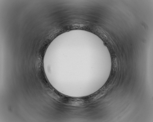 X0000111880463200908131637