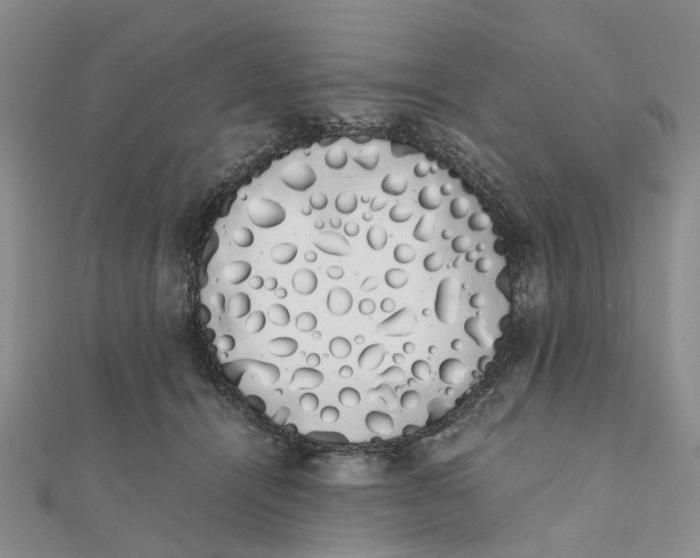 X0000111880464200908131637