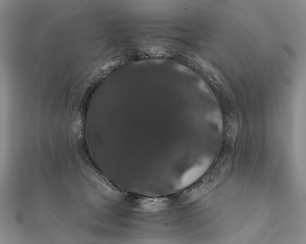 X0000111880465200908131637